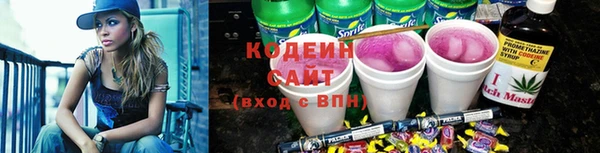 индика Абаза
