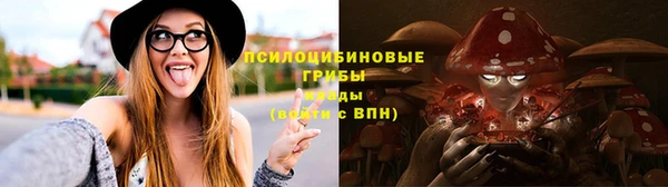 молекула духа Алзамай