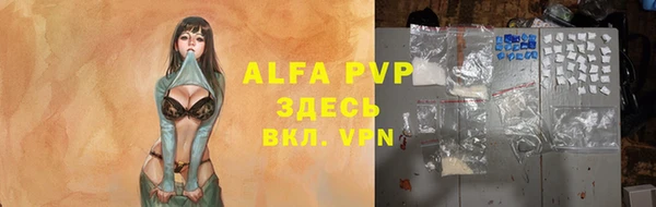 прущие грибы Абдулино