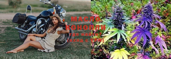 индика Абаза