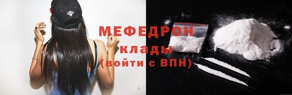 индика Абаза