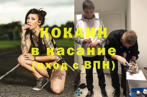 прущие грибы Абдулино