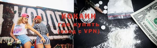 индика Абаза
