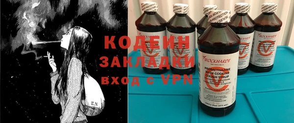 индика Абаза