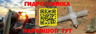 ешки Дубна