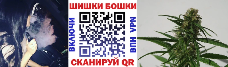 Бошки Шишки планчик Назрань